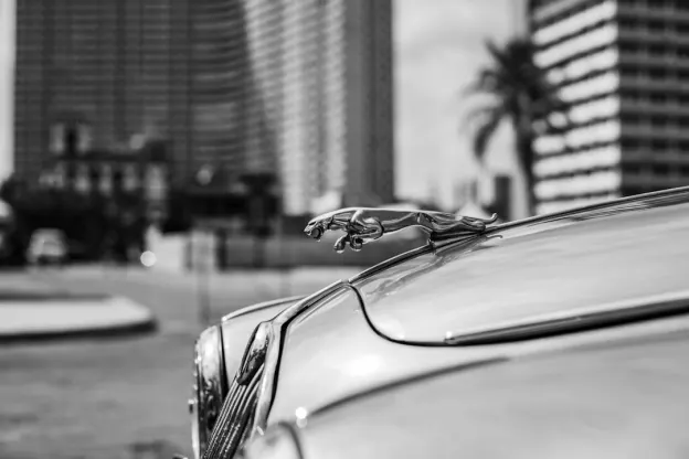 Kazoom Kasíno Android/iOS Aplikácia